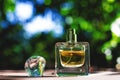 Natural perfume in a square bottle on green blurred background Royalty Free Stock Photo