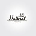 Natural perfumes - logo template Royalty Free Stock Photo