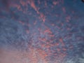 The natural phenomenon of blue clouds with abstract cloud shapes and gradations of sunlight is visible. Royalty Free Stock Photo