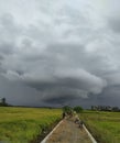 Natural phenomenon of circular clounds visible from rice fields