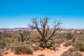 Natural natural phenomenon. Desert landscape Moab, Utah, USA Royalty Free Stock Photo