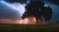 Natural phenomenon of lightning flashing light Lightning strikes the ground and trees from heavy rain and thunderstorms and