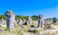 The natural phenomenon Pobiti Kamani, known as The Stone Forest Royalty Free Stock Photo