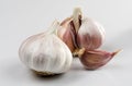 Garlic 3