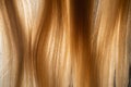 Natural piece locks of white smooth hair illuminated by light. Women's well groomed combed blond hair. Macro