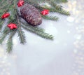 Natural pine cone, fir branches and stras, background with copy space and bokeh