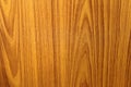 Natural Pine Wood Texture