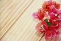 Natural pink bougainvillea flowers on a wooden background Royalty Free Stock Photo