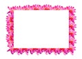 pink plumeria flowers rectangle border on white background Royalty Free Stock Photo