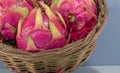 Natural pitaya fruits Cereus undatus in wooden basket Royalty Free Stock Photo