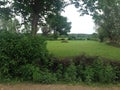 Natural plain ground field scene Royalty Free Stock Photo