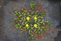 Natural plant mandala flat lay arrangement made of flowers and l