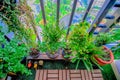 Natural plants in the hanging pots at balcony garden Royalty Free Stock Photo