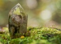 Natural polished shamanic dream quartz point with various inclusions on moss, bryophyta and bark, rhytidome in forest