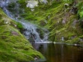 Natural pond