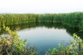 Natural pond in Thailand