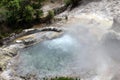 Natural pool with hot sulphide springs in the town of Furnas on the island of San Miguel.