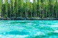 Natural pool of Oro bay, isle of pines. underwater limit