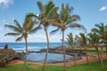 Natural pool surrounded by palm trees, in Hanga Roa, Easter Island Royalty Free Stock Photo