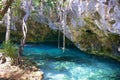 Cenotes in Mexico Royalty Free Stock Photo