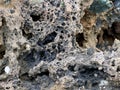 Natural porous rock texture with erosion and weathering patterns Royalty Free Stock Photo