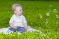 Natural Portrait of Little Cute Caucasian Toddler Child Sitting on Grass Outdoors