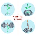 Natural power. Set of flat vector icons.