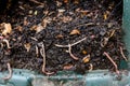 Natural, processed homemade compost in a plastic barrel