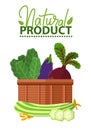 Vegetables in Basket, Vegan Food, Organic Vector Royalty Free Stock Photo