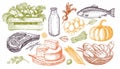 Set of illustrations of farm products.