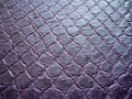 Natural python skin texture. Purple haberdashery snake skin. Royalty Free Stock Photo