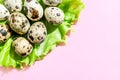 Natural quail eggs on green lettuce salad leaf on pink background. Flatlay, top view, minimal copy space