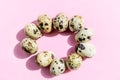 Natural quail eggs in oval shape on pink background. Flatlay, top view, minimal copy space