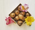 natural, quail softness flower alstroemeria springtime eggs Easter on a white wooden box Royalty Free Stock Photo