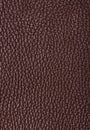 Natural qualitative brown leather texture