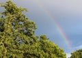 Natural Rainbow on Dark Blue Sky above Green Forest
