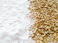 Natural raw rye grains with white flour texture background