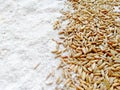 Natural raw rye grains with white flour texture background