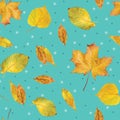Natural real autumn leaves repeated pattern seamless wallpaper on teal background