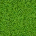 Natural realistic green grass texture background. Soccer grass top template. Royalty Free Stock Photo