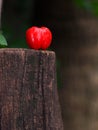 Natural red fresh organic home plant cherry on an wet old wood surface under natural sunlight