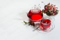 Natural red herbal tea in transparent teapot, cup with hawthorn berry, rosehip, dry leaves in morning sunlight on soft light white Royalty Free Stock Photo