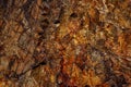 natural red rock texture background Royalty Free Stock Photo