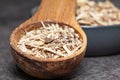 Natural remedies - dried root of siberian ginseng close up