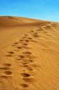 Natural Reserve of Dunes of Maspalomas, in Gran Canaria, Spain Royalty Free Stock Photo