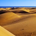 Natural Reserve of Dunes of Maspalomas, in Gran Canaria, Spain Royalty Free Stock Photo