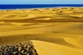 Natural Reserve of Dunes of Maspalomas, in Gran Ca