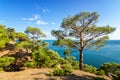 Natural reserve of mount Karaul-Oba, Crimea, city of Sudak, Black sea Royalty Free Stock Photo