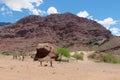 Natural reserve Quebrada de las Conchas en Argentina, the rock 