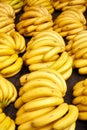 Natural ripe banana bunches on a local market